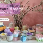 Seturi Decorative din Ceramică Realizate Manual