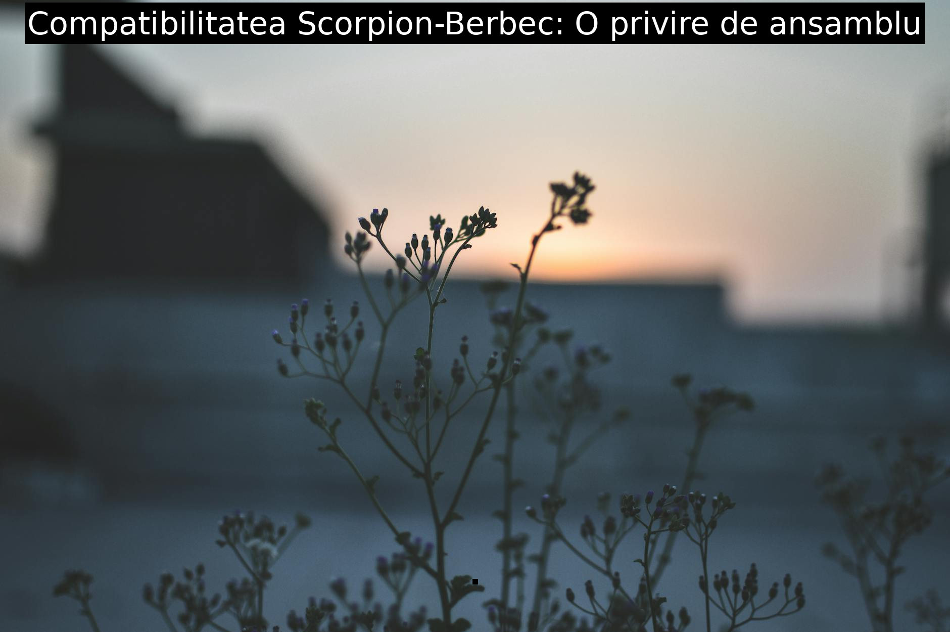 Compatibilitatea Scorpion-Berbec: O privire de ansamblu