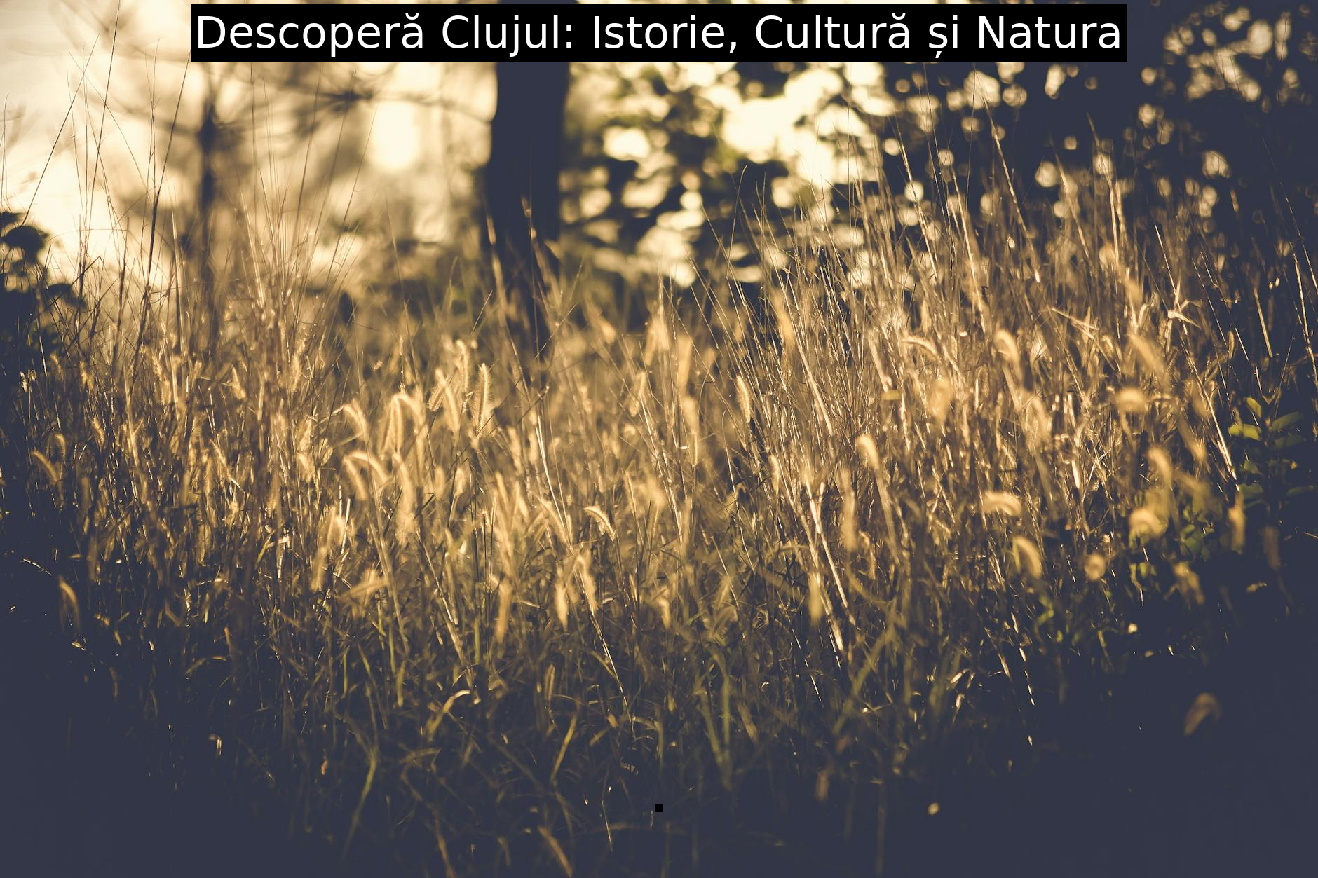 Descoperă Clujul: Istorie, Cultură și Natura