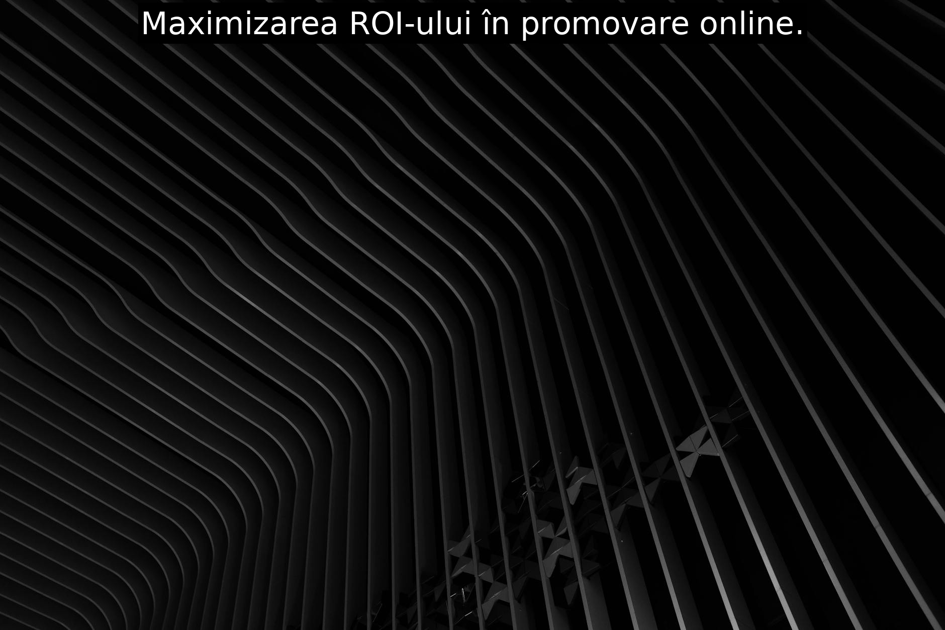 Maximizarea ROI-ului în promovare online.