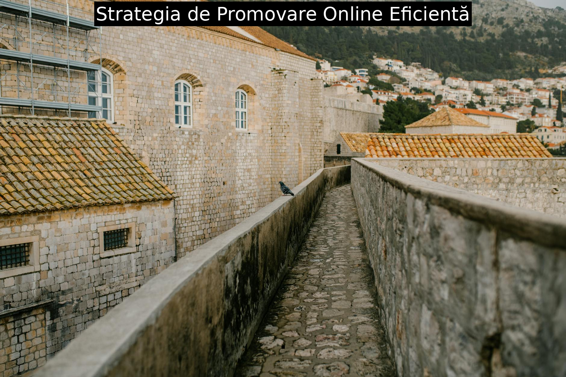 Strategia de Promovare Online Eficientă